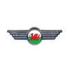 WELSH DRAGON obW