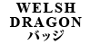 WELSH DRAGON obW