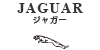 JAGUAR ICtB^[
