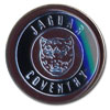 SXebJ[ JAGUAR TYPE2