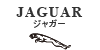 JAGUAR BOSCH LrtB^[