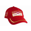 TEAM LOTUS GOLD LEAF x[X{[Lbv