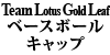 TEAM LOTUS GOLD LEAF x[X{[Lbv
