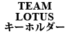 TEAM LOTUS L[z_[