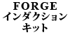 FORGE C_NV Lbg