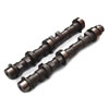 Colombo & Bariani  nCtgJ 106