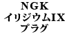 NGK CWEvO