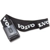 VOLVO X[cP[Xxg